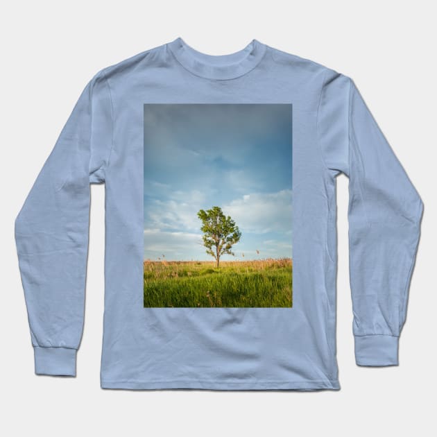 solitary tree in the meadow Long Sleeve T-Shirt by psychoshadow